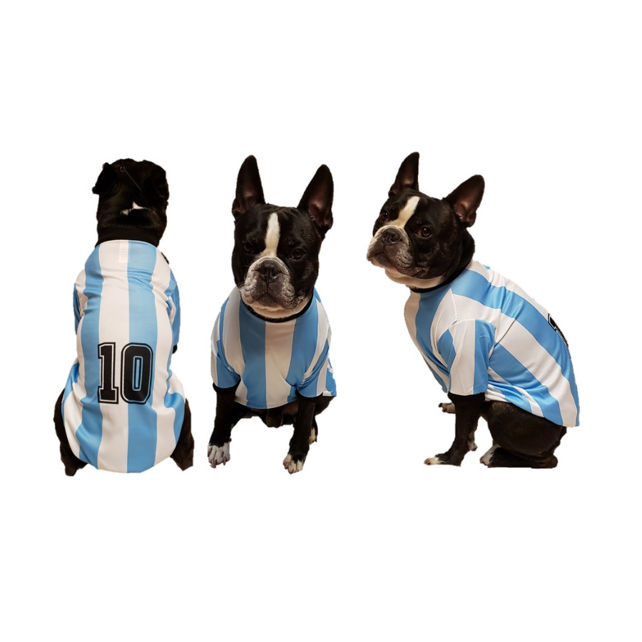 Camisetas de Futbol de Argentina